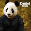 Danil 's user avatar