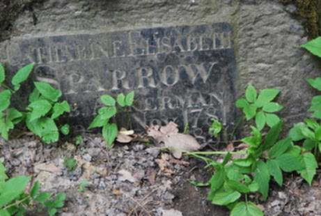 DSC_0050.JPG