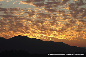 Vivid and Vibrant Evening Sky at Kaziranga - 6