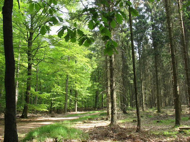 Over de flinterwegen