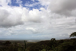 AUSTRALIA: EL OTRO LADO DEL MUNDO - Blogs de Australia - Cairns: Kuranda-buceo en la Gran Barrera-Rain Forest (18)