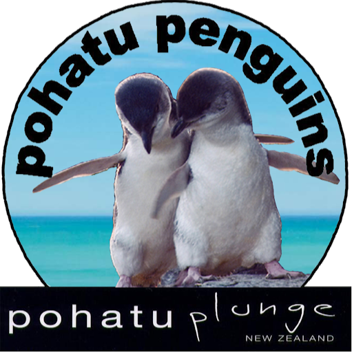 Pōhatu penguins/Plunge NZ Ltd logo