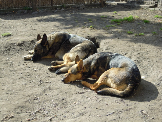 DSCN2123.JPG