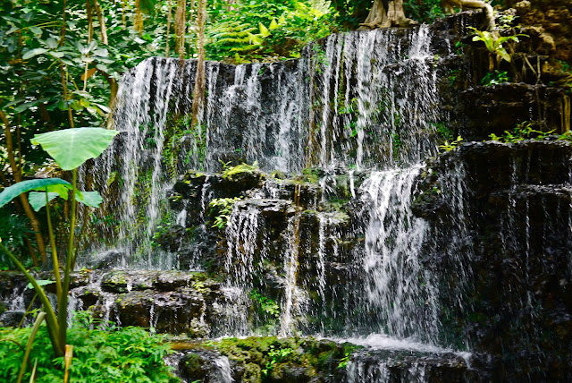 Tweechol Botanical Garden