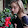 Haley McC Haley McC's profile photo