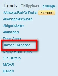 jerzon senador