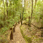 Track and timber railing close to the dammed pool in the Watagans (322187)