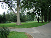 DSC01680.JPG