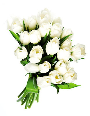 white tulips bouquet