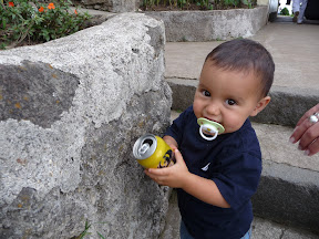 Picasa