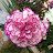 Ella Swarden avatar image