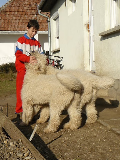 M%2525C3%2525A1rti%252520torna%252520%2525C3%2525A9s%252520Ricse%252520081.jpg