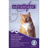  Advantage Purple Cat Medium/Large 4pk 9-18pds