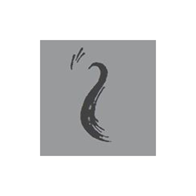 Barberis Parrucchieri logo
