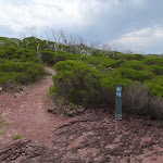 Arrow marker away from red cliffs. (105229)