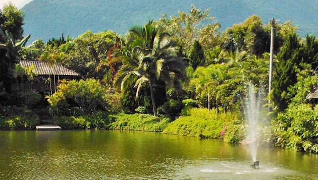 Cover photo