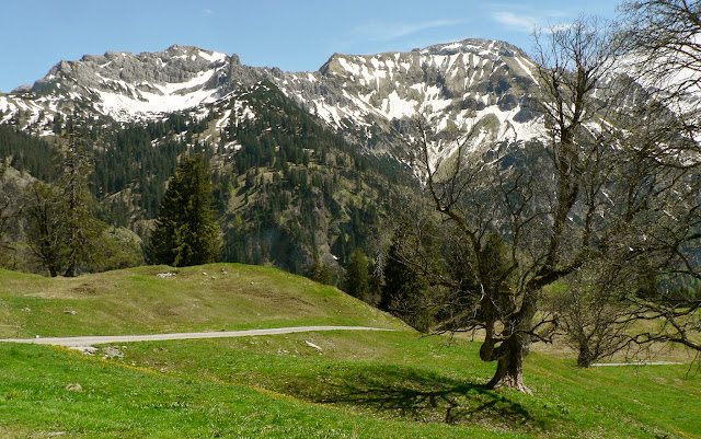 Blick von der Schwarzenberghütte ins Hintersteinertal Giebel Hindelang Allgäu