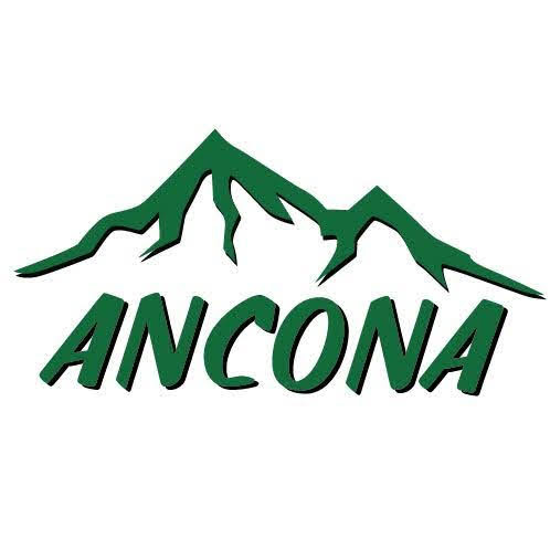 ANCONA PIZZERIA GRILL logo