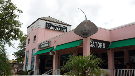 Aquarium «Aquarium Tarpon Springs», reviews and photos, 850 Dodecanese Blvd, Tarpon Springs, FL 34689, USA