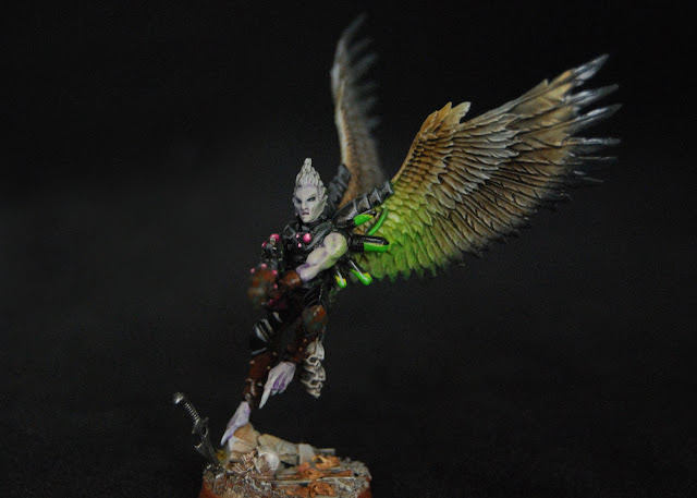 Haemonculi Coven Models - Page 3 Birdwing_Scourges_06