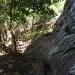 Trck below cliffs (105751)