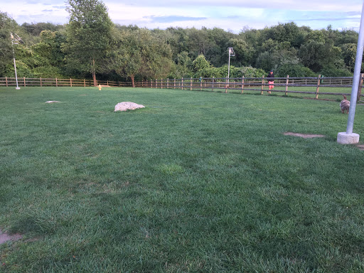 Dog Park «South Kingstown Dog Park», reviews and photos, 55 St Dominic Rd, South Kingstown, RI 02879, USA
