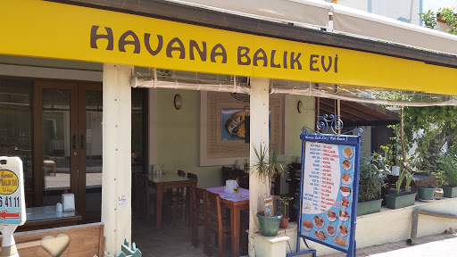 Havana Balık Evi
