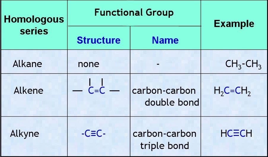 Функциональная группа зайца. Homologous Series. Functional Groups. Homologous Organs. Functional structure.