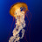Mel Lat avatar image