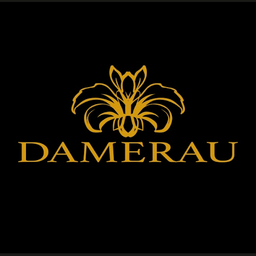Damerau Suits Gmbh logo