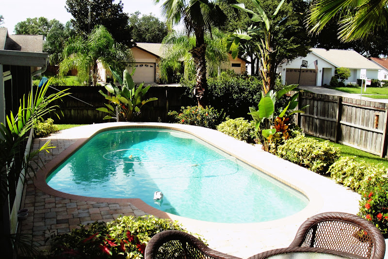 New Port Richey Pool Home for sale