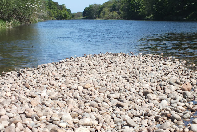 River Dee, Aberdeen