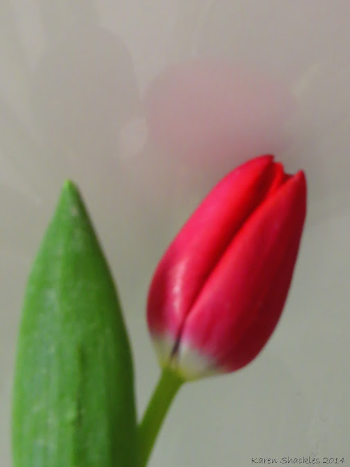 posted image