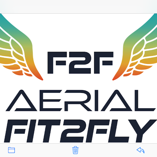 Aerial Fit2Fly logo