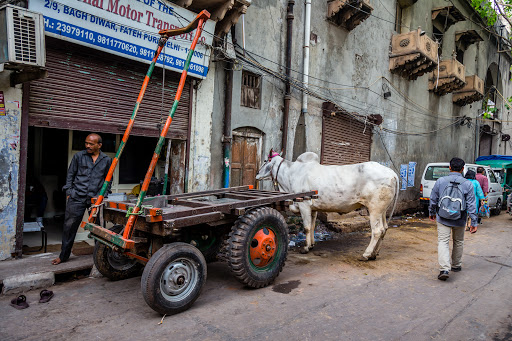 The Amritsar Transport Co. Pvt. Ltd., 15, Bagh Diwar, Tulsi Ram Seth Marg, Fatehpuri, Chandni Chowk, New Delhi, Delhi 110006, India, Trucking_Company, state DL