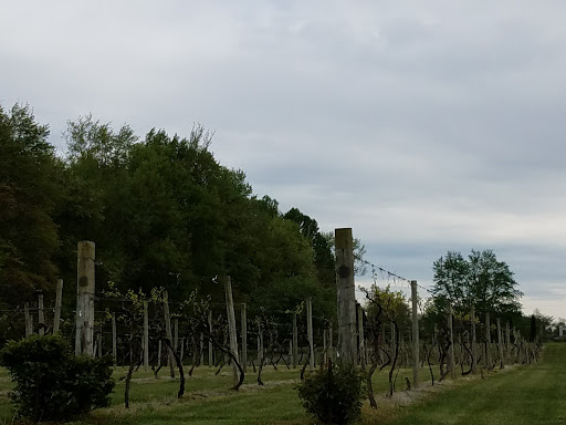 Winery «Madison Vineyards Estate Winery and Bed & Breakfast», reviews and photos, 1456 E 400 N, Madison, IN 47250, USA
