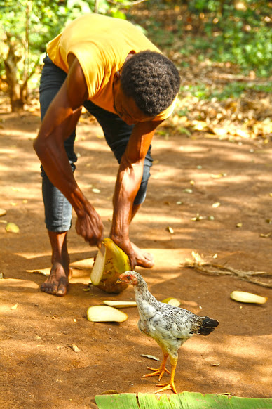 À descoberta das especiarias de Zanzibar (Rota das Especiarias) | Tanzânia