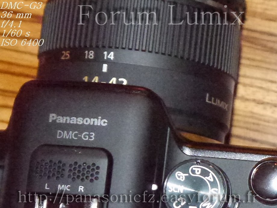 Panasonic Lumix G3 (Infos officielles) CropP1000807