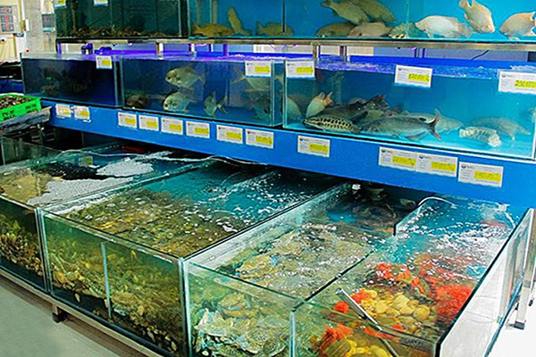 Máy làm mát nước bể hải sản
