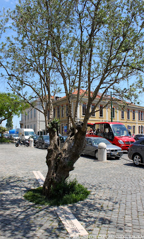 Три "венеции" в круизе по Европе с Гибралтаром и Португалией на MSC Magnifica. 05-06.2012