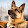 sophia zhou sophia zhou's profile photo