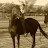 Cheri Lanzisera avatar image