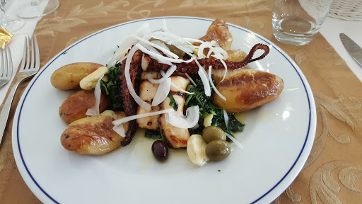 RODIZIO PERROQUET