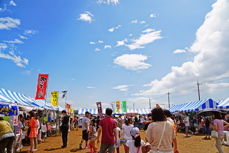 座間 ひまわりまつり 写真6