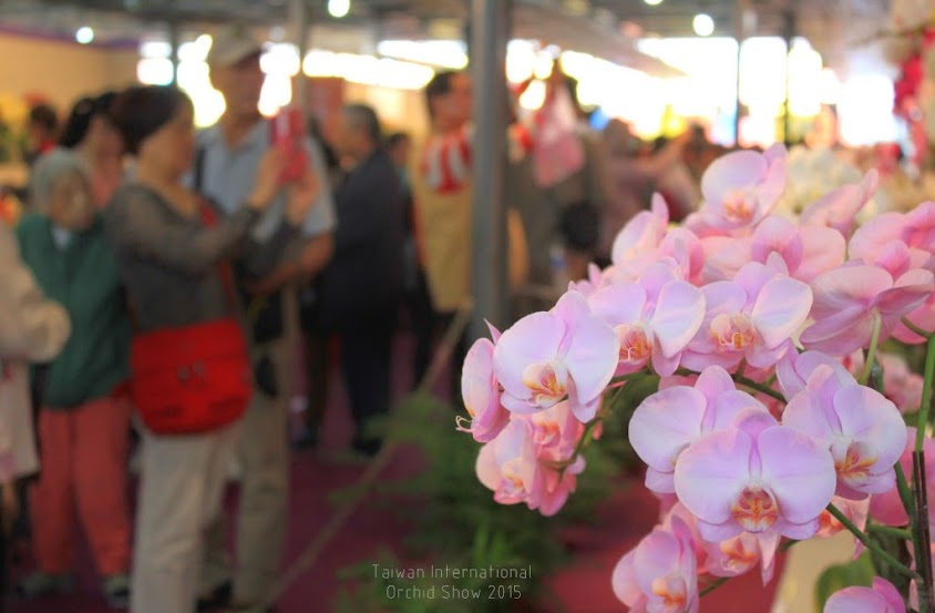 2015 台灣國際蘭花展-8