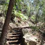 Steps at bottom of Bobbin Head Track (118489)