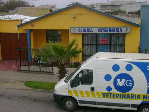 Clínica Veterinaria MG - Dr. Manuel García Aguilar, Juan Antonio Ríos 9 - Los Clarines 1165, Coquimbo, Región de Coquimbo, Chile, Cuidado veterinario | Coquimbo