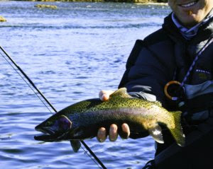 Bighorn Fly Fishing Thermopolis Wyoming