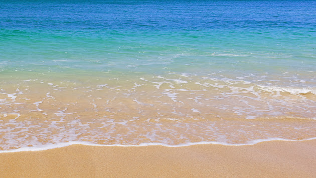Cover photo