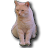 Pale O'Pterix avatar image